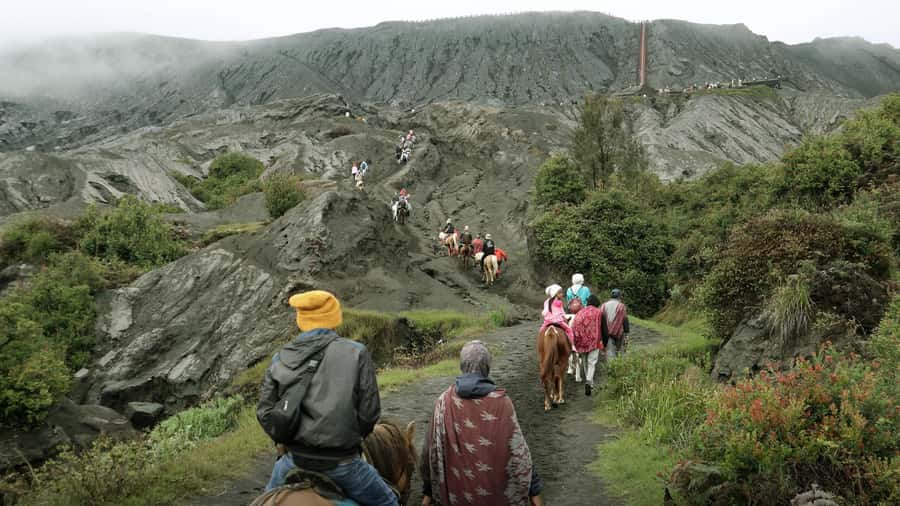 From Malang/Surabaya: Mount Bromo Sunrise Ultimate (Shared) - The volcanic views after sunrise