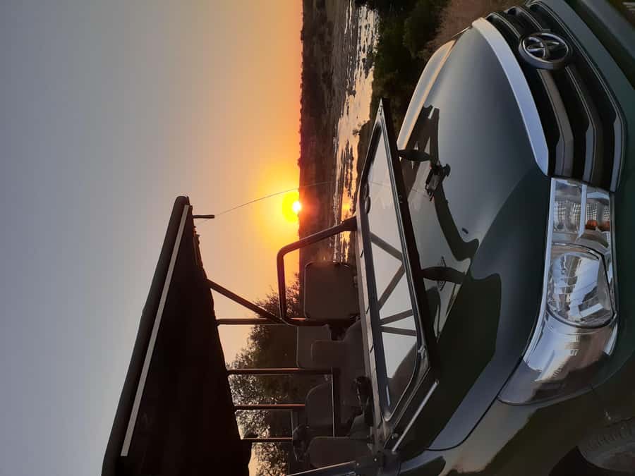 From Malelane: Kruger National Park Full-Day Safari - What the guide adds to the experience