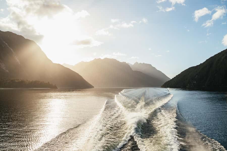 From Manapouri: Doubtful Sound Wilderness Day Trip - Wildlife along the fiord