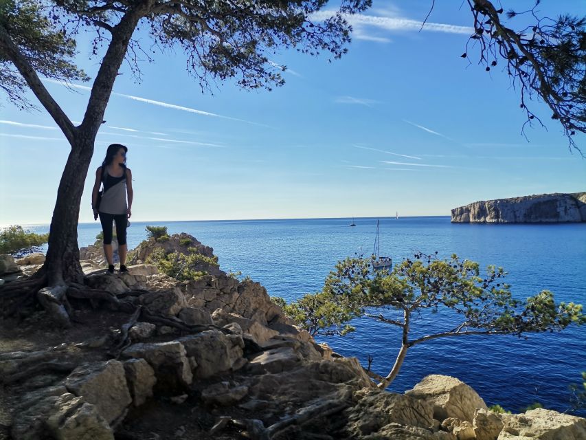 From Marseille: Calanques National Park Guided Hike - Pine woods, rosemary, and the first sea views