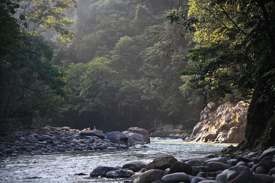 From Medan: Mount Leuser National Park Orang Utan Trip - Walking into Mount Leuser National Park