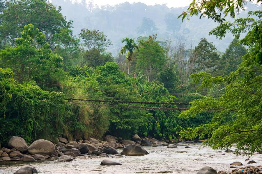 From Medan: Mount Leuser National Park Orang Utan Trip - The return to Medan and drop-off choices