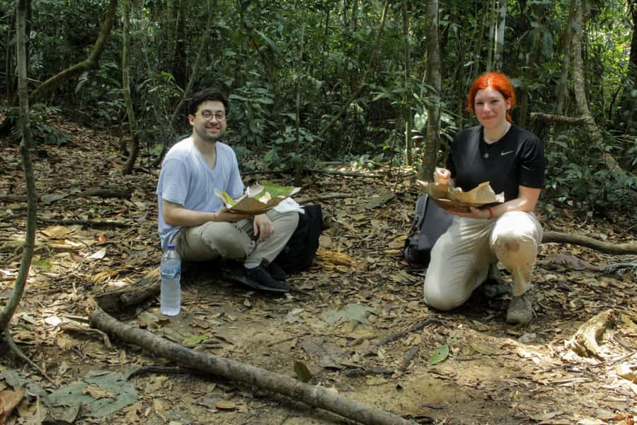 From Medan: Mount Leuser National Park Orang Utan Trip - Is $76 good value?