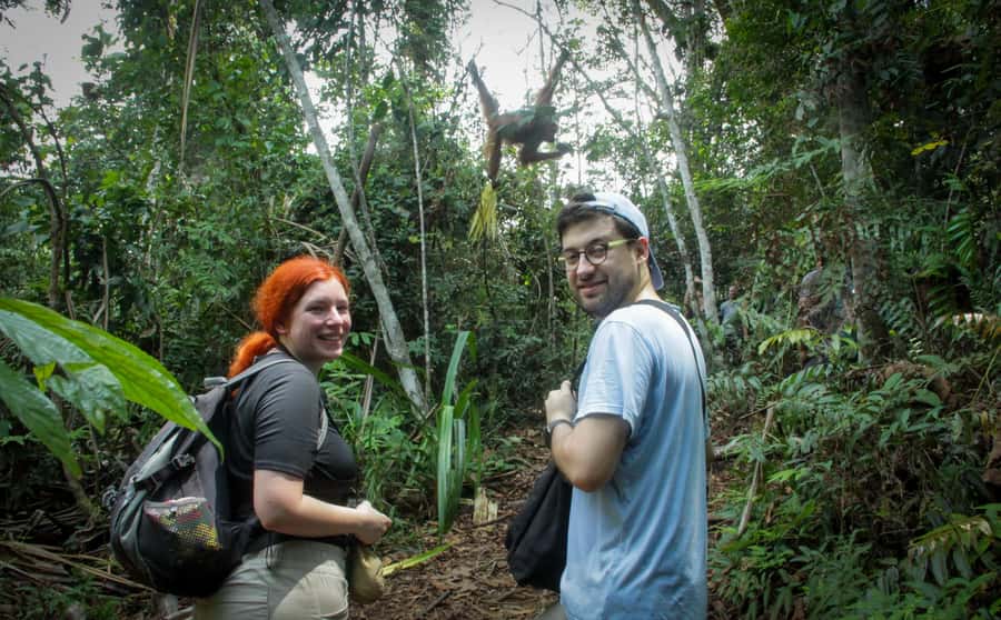 From Medan: Mount Leuser National Park Orang Utan Trip - Who will enjoy this jungle trip most?