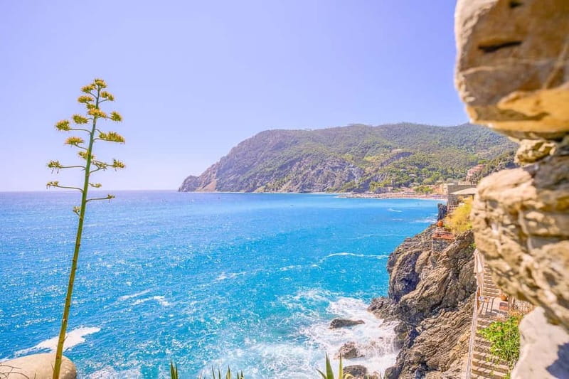 From Milan:Cinque Terre National Park with Limoncino Tasting - The main strengths of this format