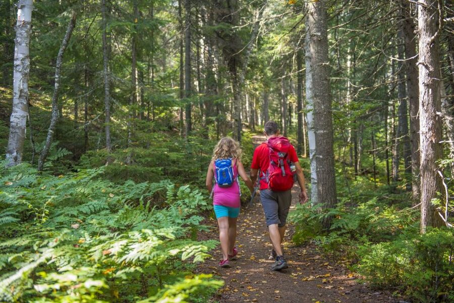 From Montreal: Mont-Tremblant National Park Hiking Day Trip - Mont-des-Cascades, L’envol, and Le Geai Bleu
