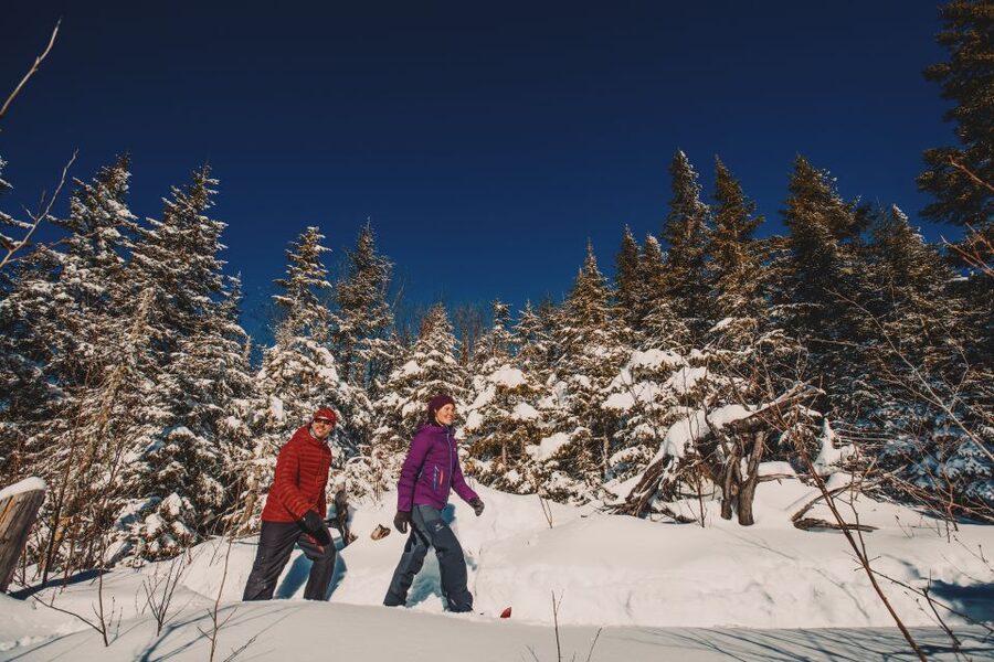 From Montreal: Mont-Tremblant National Park Hiking Day Trip - What to pack for this independent hike