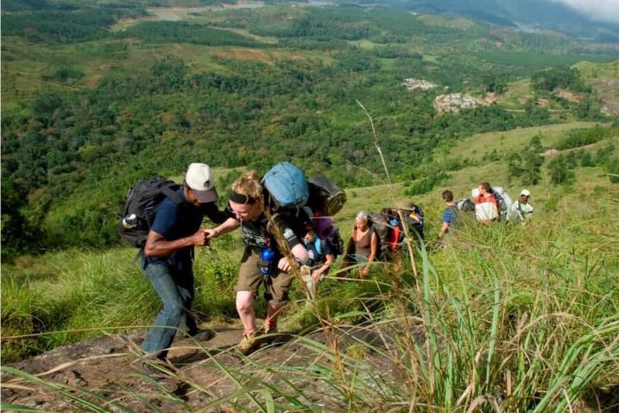 From Munnar: Tea Factory, Plantation, and National Park Tour - Walking Through Munnar’s Tea Fields