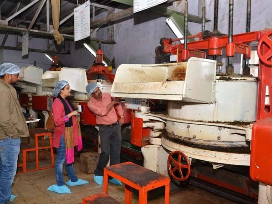 From Munnar: Tea Factory, Plantation, and National Park Tour - Lunch Is Your Own Decision