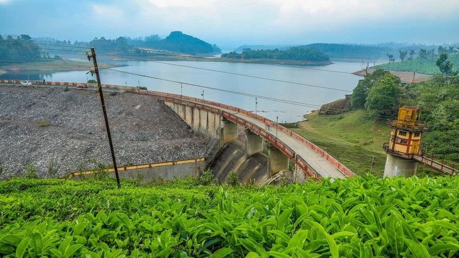 From Munnar: Tea Factory, Plantation, and National Park Tour - Jeep Comfort, Guide Quality, and Timing
