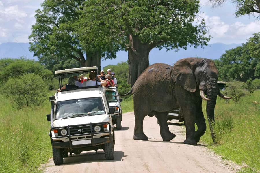 From Nairobi: 2-Day Amboseli National Park Safari - The 7 am departure from Nairobi