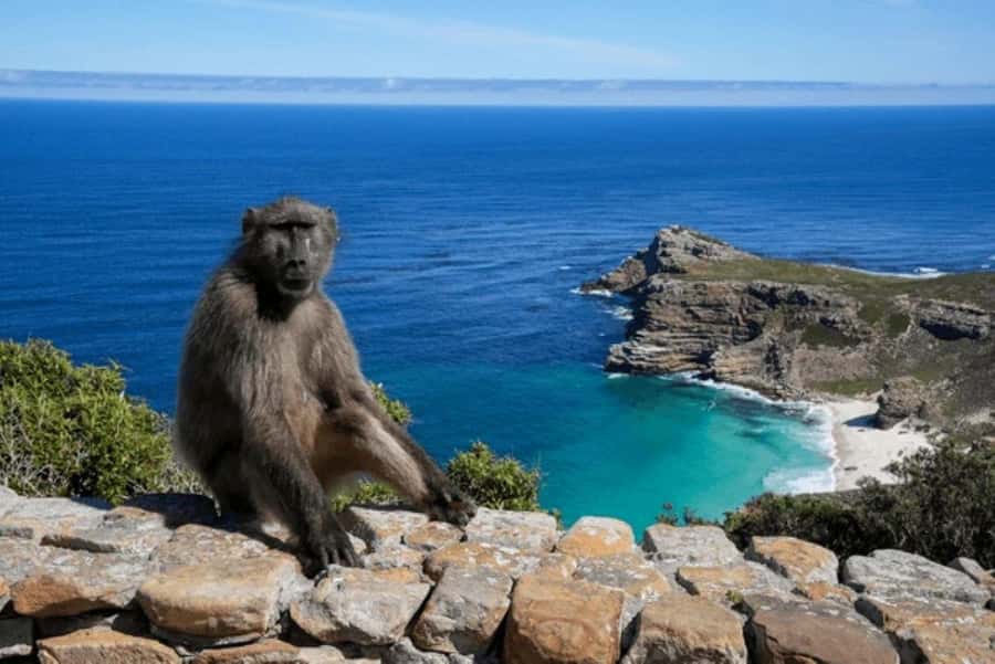 From Nairobi: 2-Day Naivasha Safari with Accommodation - Useful things to bring and confirm