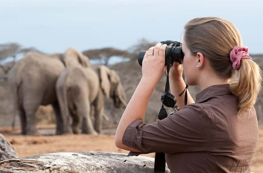 From Nairobi: Day Trip to Amboseli National Park - Key points to know before you book