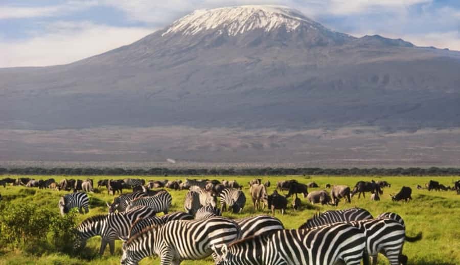 From Nairobi: Day Trip to Amboseli National Park - Is the USD 422 price good value?