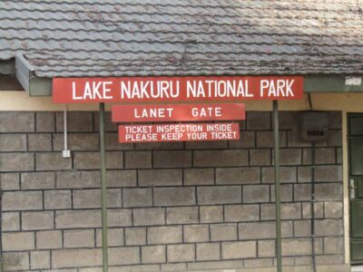 Lake Nakuru National Park Day-Trip