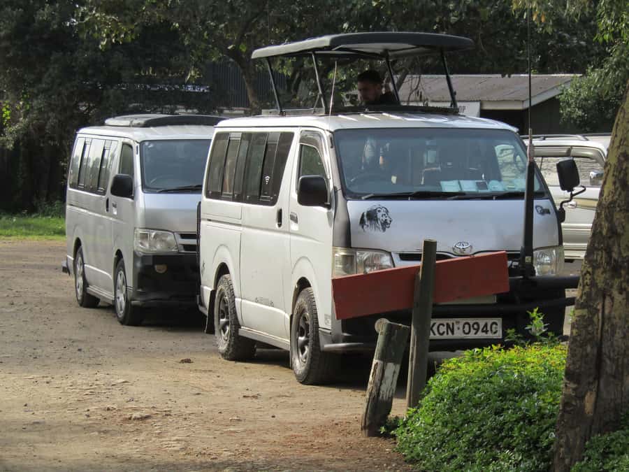 From Nairobi: Lake Nakuru National Park Day-Trip - The Rhino Sanctuary and the park’s wildlife