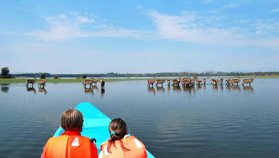 From Nairobi: Lakes Nakuru & Naivasha National Park Day Tour - Why the two-lake plan works