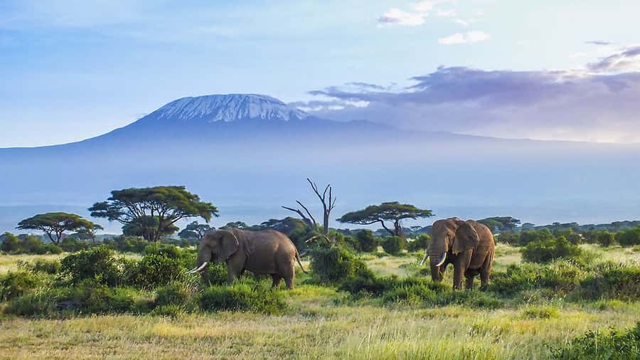 From Nairobi or Mombasa: Amboseli National Park 3 Day Tour - Why Amboseli is worth three days