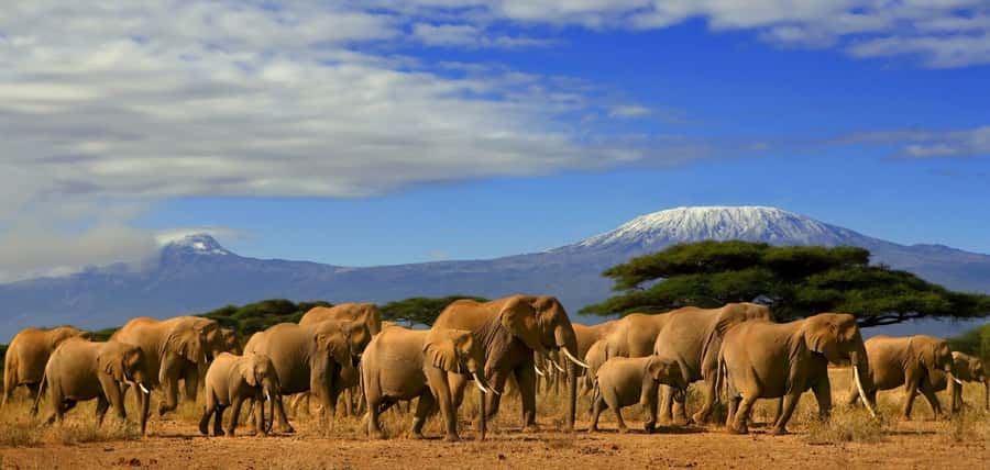 From Nairobi or Mombasa: Amboseli National Park 3 Day Tour - Observation Hill and the wider park view