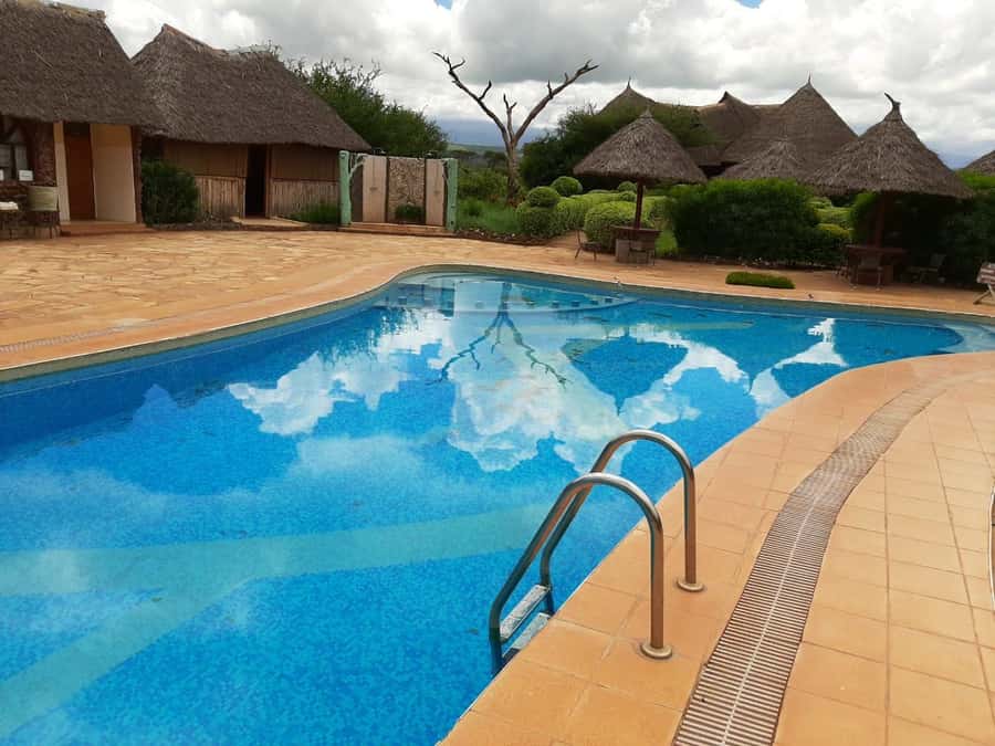 From Nairobi or Mombasa: Amboseli National Park 3 Day Tour - Day 3: one final drive and the return