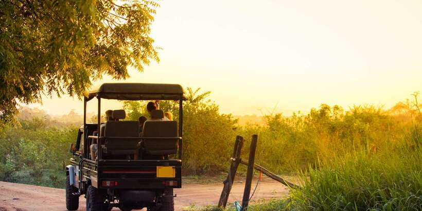 From Negombo: Minneriya National Park Safari Tour - Why Minneriya is worth the long day