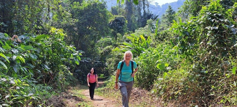 From Ninh Binh: Cuc Phuong National Park 1-Day Small Group - Is $46 a fair price?