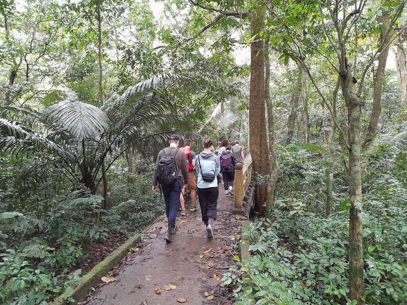 From Ninh Binh: Cuc Phuong National Park Trekking Day Tour - Lunch inside the park at 13:30