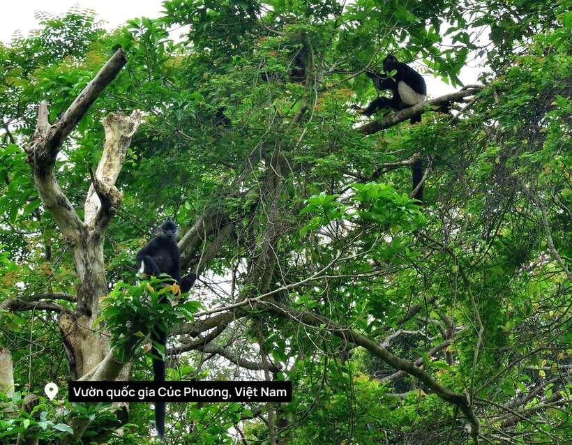 From Ninh Binh Small Group Discover Cuc Phuong National Park - Lunch before the afternoon hike