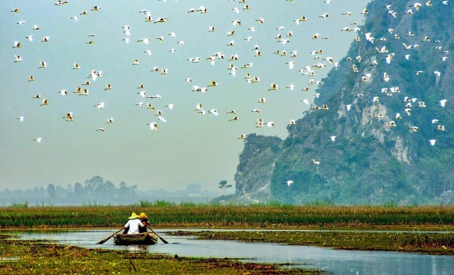 From Ninh Binh: Visit Cuc Phuong National Park - Van Long - Why this Ninh Binh day trip works