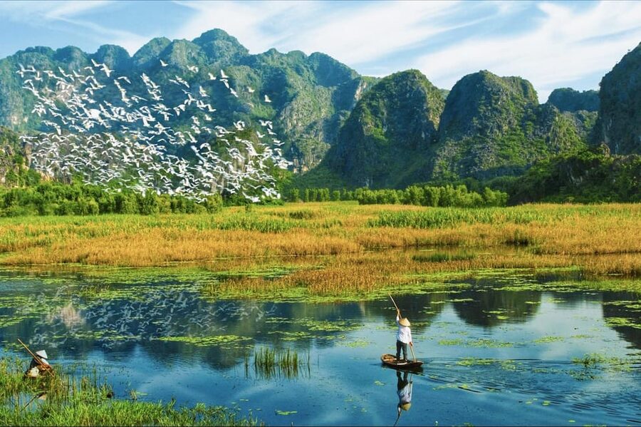 From Ninh Binh: Visit Cuc Phuong National Park - Van Long - Exploring the Cave of Prehistoric Man
