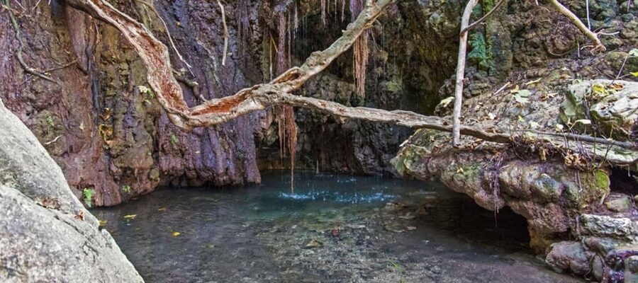 From Paphos or Limassol: Akamas National Park Jeep Safari - The guide can shape the whole day