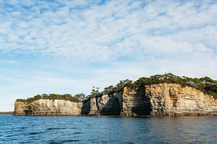 From Port Arthur: Tasman Island Wilderness Cruise - Who should book this experience?