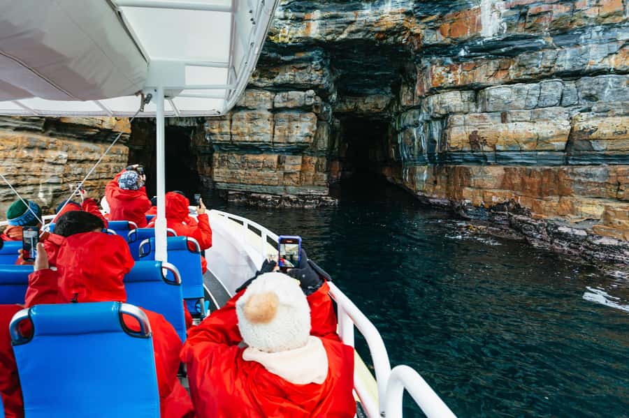 From Port Arthur: Tasman Island Wilderness Cruise - Along the cliffs from Port Arthur to Cape Pillar