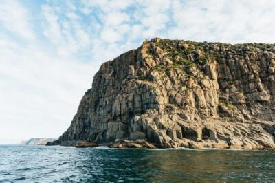 From Port Arthur: Tasman Island Wilderness Cruise