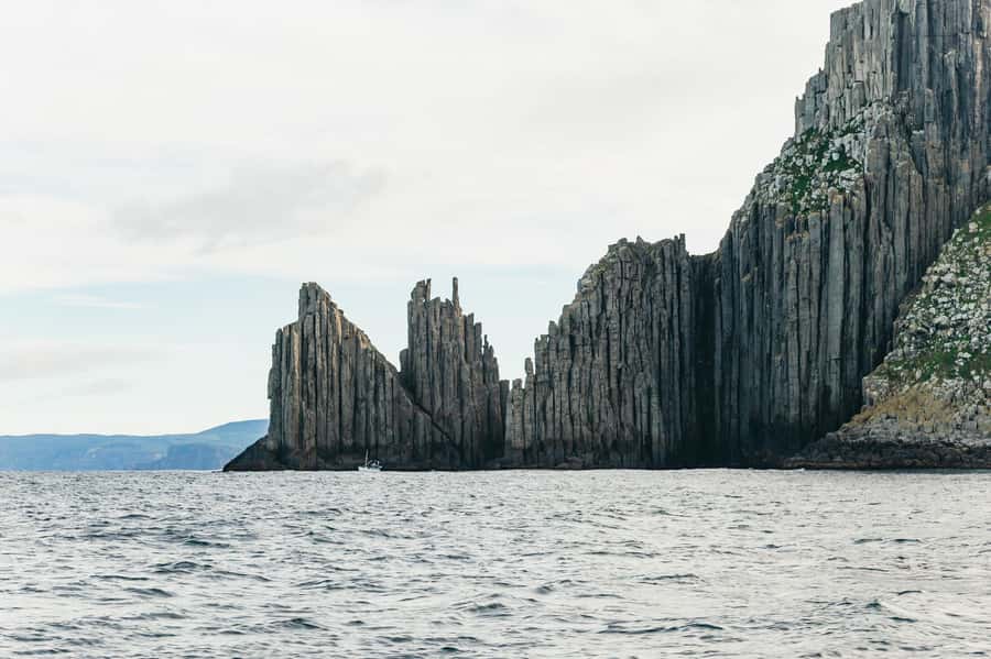 From Port Arthur: Tasman Island Wilderness Cruise - Caves, arches, and the force of the Southern Ocean