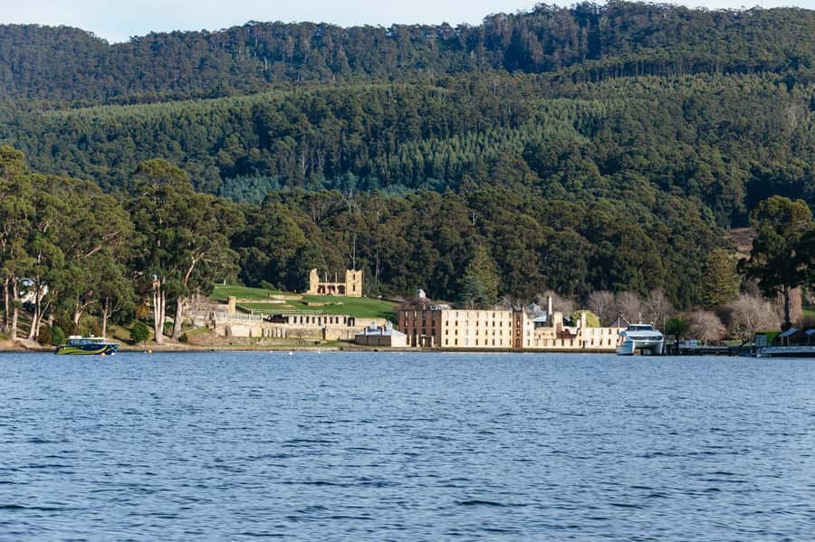 From Port Arthur: Tasman Island Wilderness Cruise - Is $127 good value for three hours?