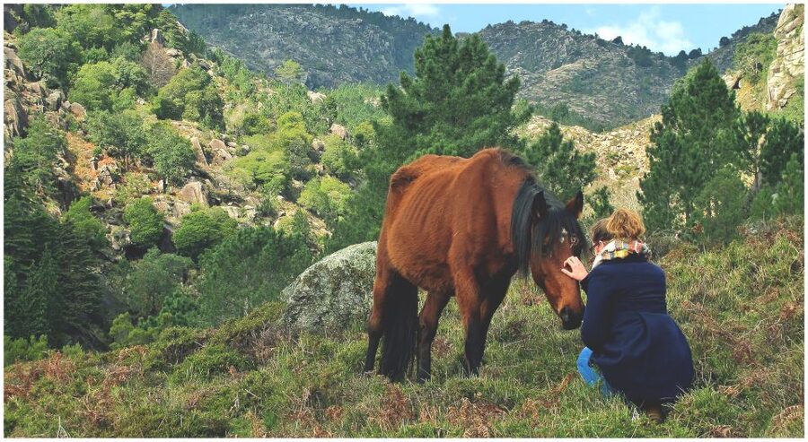 From Porto: Peneda-Gerês National Park Tour with Lunch - Lunch with local food and Vinho Verde