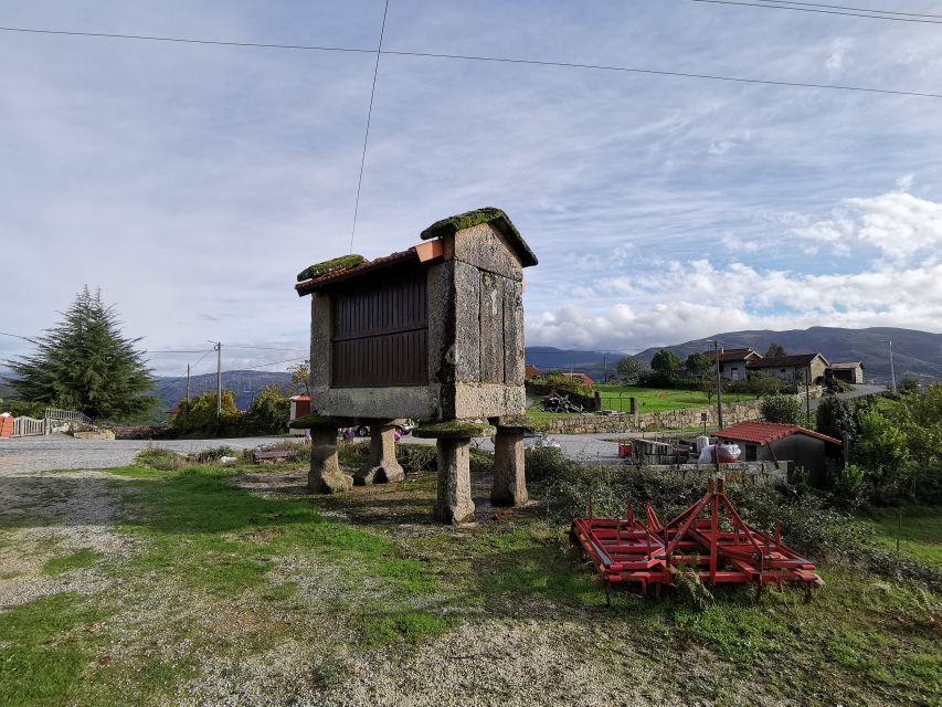 From Porto: Peneda-Gerês National Park Tour with Lunch - Who will enjoy this tour most