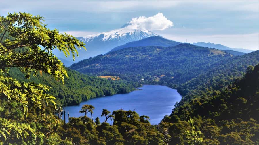 From Pucón: Huerquehue National Park Hiking Tour - Key points to know before booking