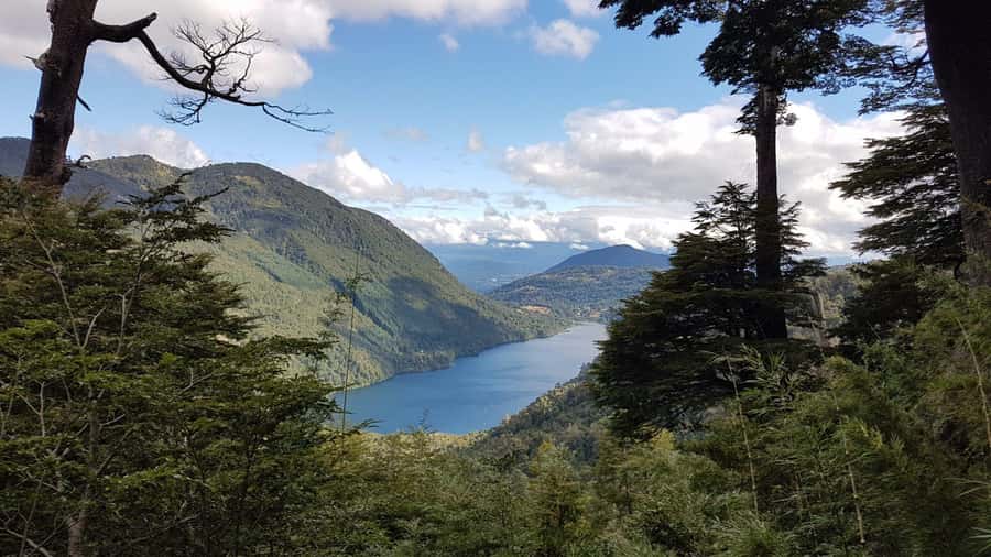From Pucón: Huerquehue National Park Hiking Tour - Why Huerquehue makes a fine day from Pucón