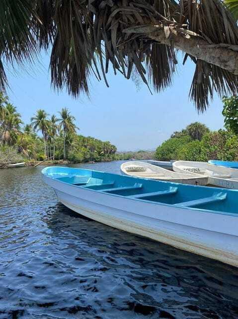 From Puerto Escondido: Day Trip to Chacahua National Park - My call: book it with one condition