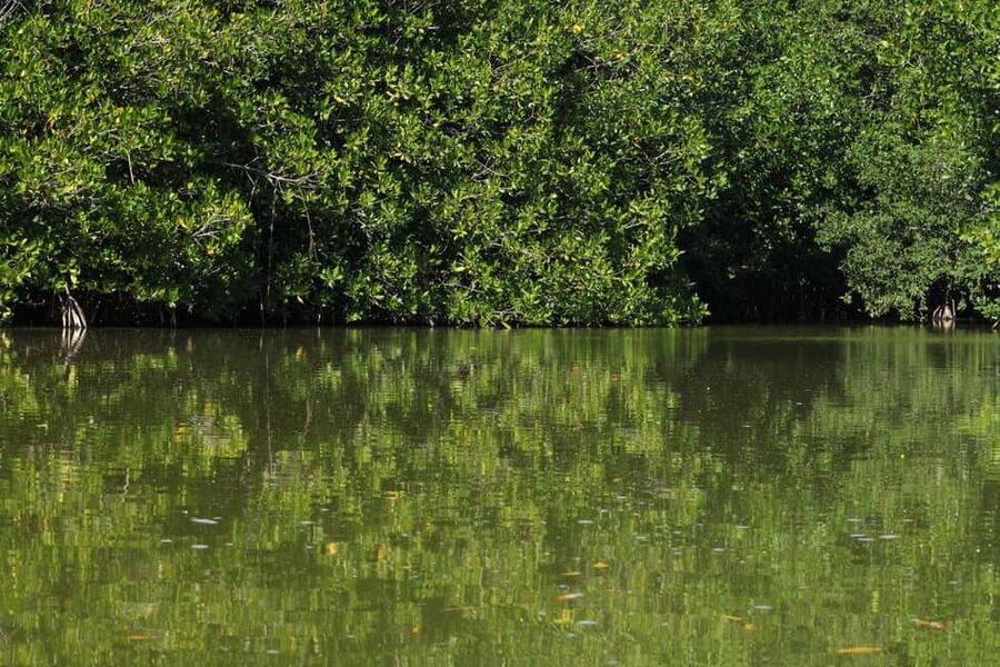 From Puerto Escondido: Day Trip to Chacahua National Park - The 85-minute ride from Puerto Escondido