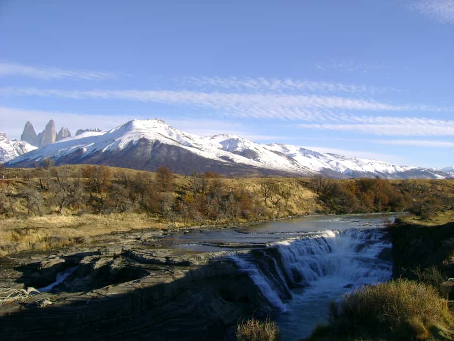 From Puerto Natales: Torres del Paine National Park Trip - Grey Lake and Grey Glacier are the day’s main reward