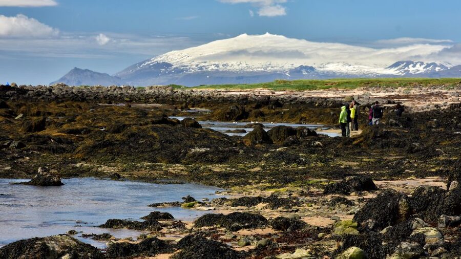 From Reykjavik: Snaefellsnes National Park - Small Group - Kirkjufell and the view that made Iceland famous
