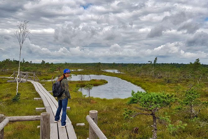 From Riga: Best of Kemeri National Park In One Day - Looking over Lake Kaņieris from the bird tower