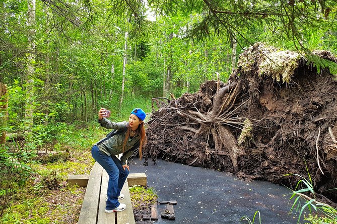 From Riga: Best of Kemeri National Park In One Day - Ragaciems and the Gulf of Riga coast