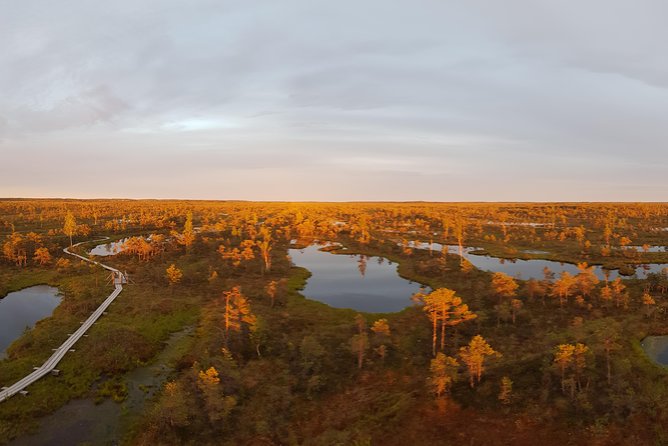 From Riga: Best of Kemeri National Park In One Day - What the small-group format adds