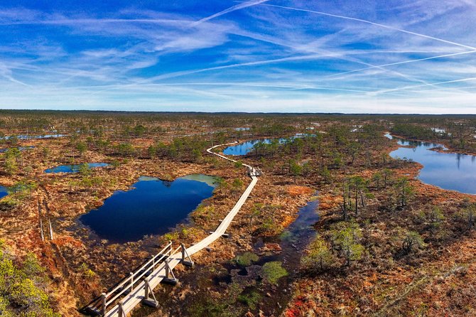 From Riga: Best of Kemeri National Park In One Day - Latvian snacks and local context