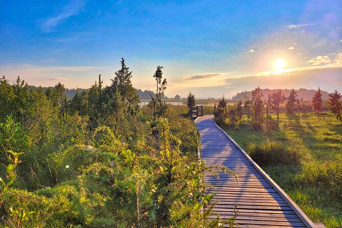 From Riga: Best of Kemeri National Park In One Day - Is $235.33 a fair price?