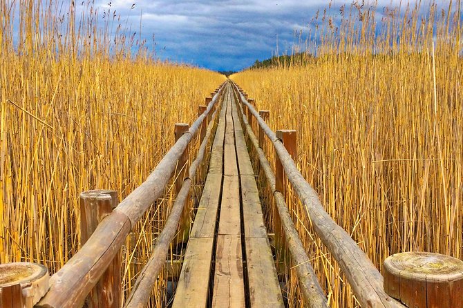 From Riga: Best of Kemeri National Park In One Day - Wet forests and Ķemeri’s sulphur springs